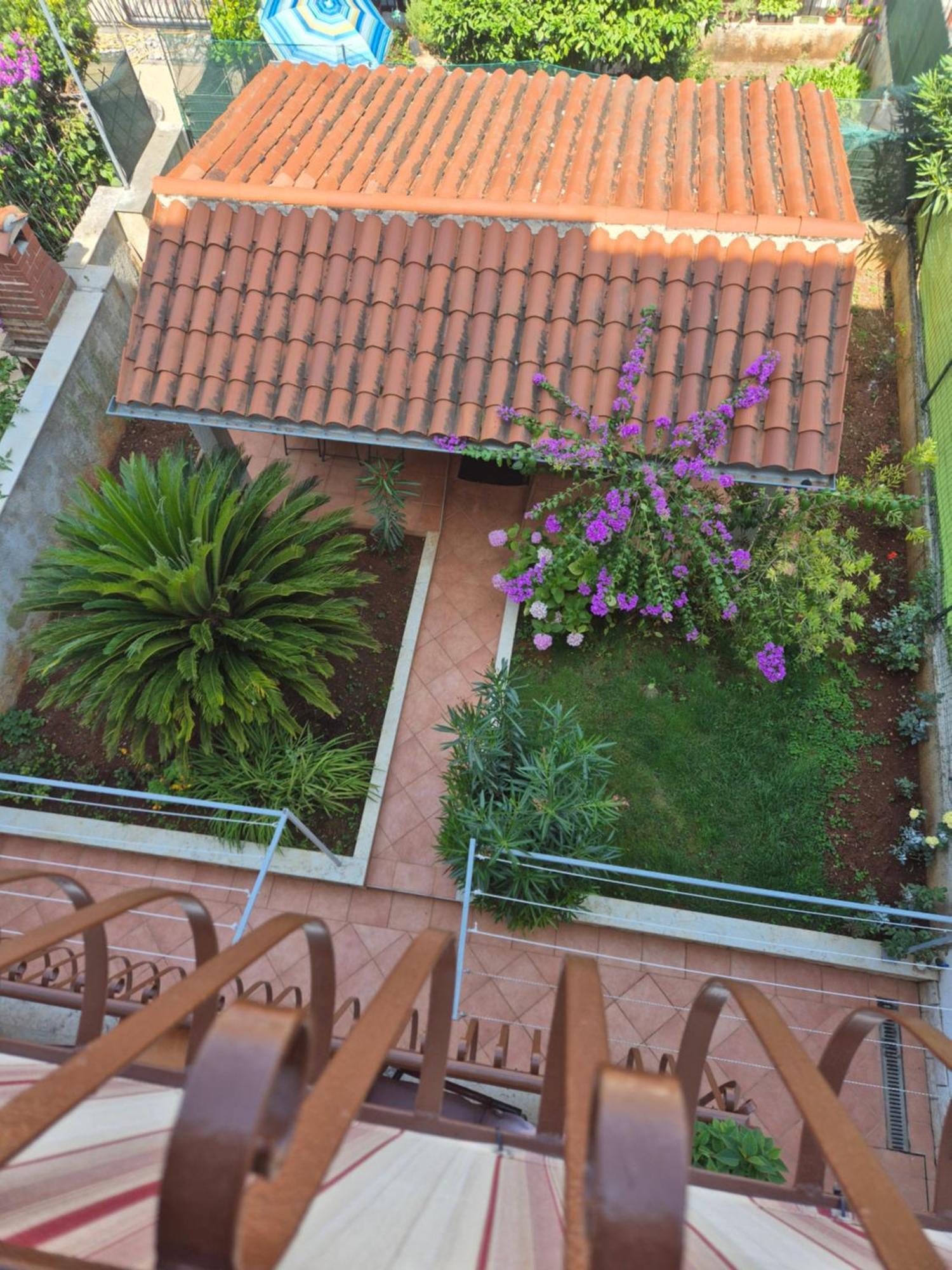 Apartments Antolovic Vrsar Dış mekan fotoğraf