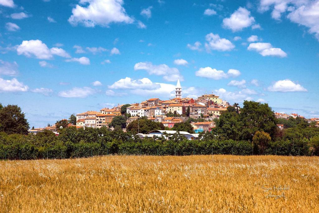 Apartments Antolovic Vrsar Dış mekan fotoğraf